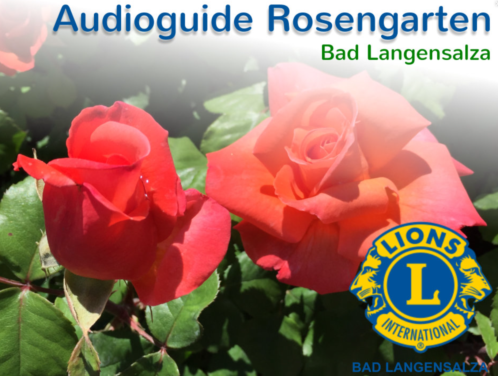 Audioguide Rosengarten